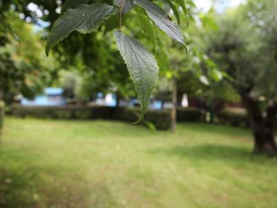 Campingplatz Gardasee mit großen Stellplätzen und 10 Ampere Strom 1