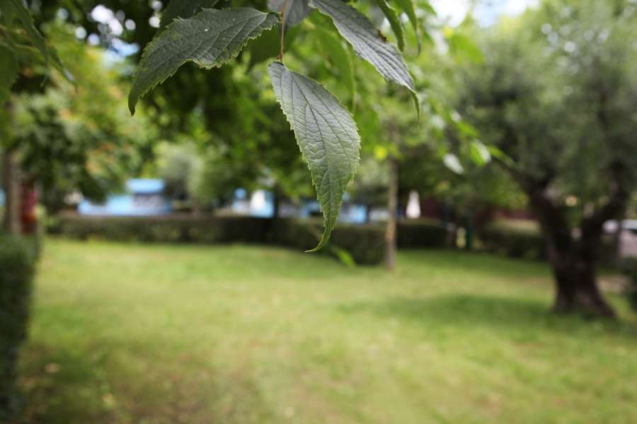 Campingplatz Gardasee mit großen Stellplätzen und 10 Ampere Strom 1