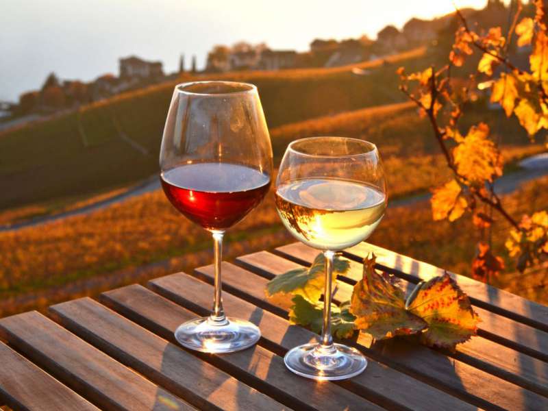 Was man im Urlaub im Campingplatz Gardasee machen kann – Tipps Wein 