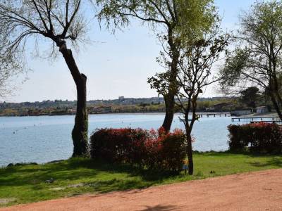 Campingplatz Gardasee mit Stellplätzen direkt am See 4