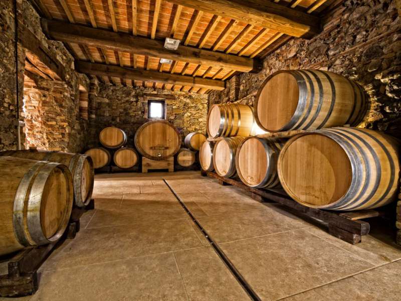 Was man im Urlaub im Camping Lago di Garda machen kann – Tipps, Besuch eines Weinguts
