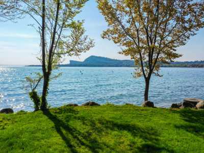 Campingplatz Gardasee mit Stellplätzen direkt am See 1