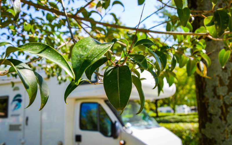 CAMPINGPLATZ-WOCHENANGEBOT