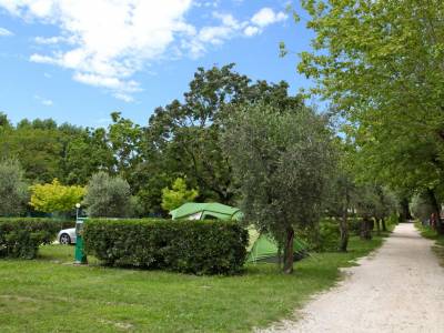 Campingplatz Gardasee mit großen Stellplätzen und 10 Ampere Strom 