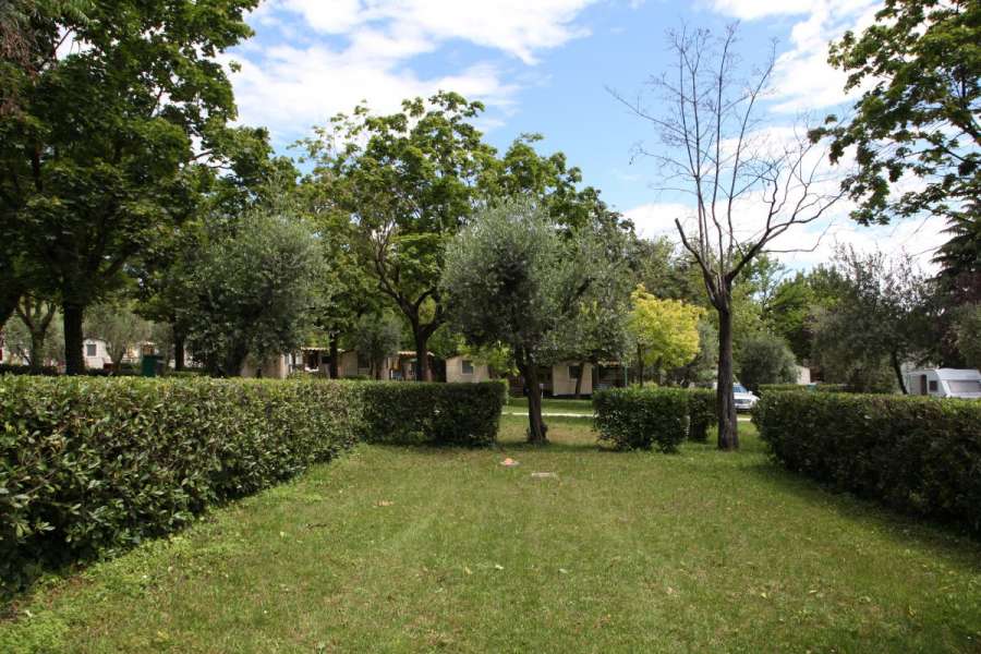 Campingplatz Gardasee mit Standardstellplätzen und 6 Ampere Strom 12