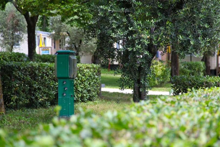 Campingplatz Gardasee mit Standardstellplätzen und 6 Ampere Strom 8