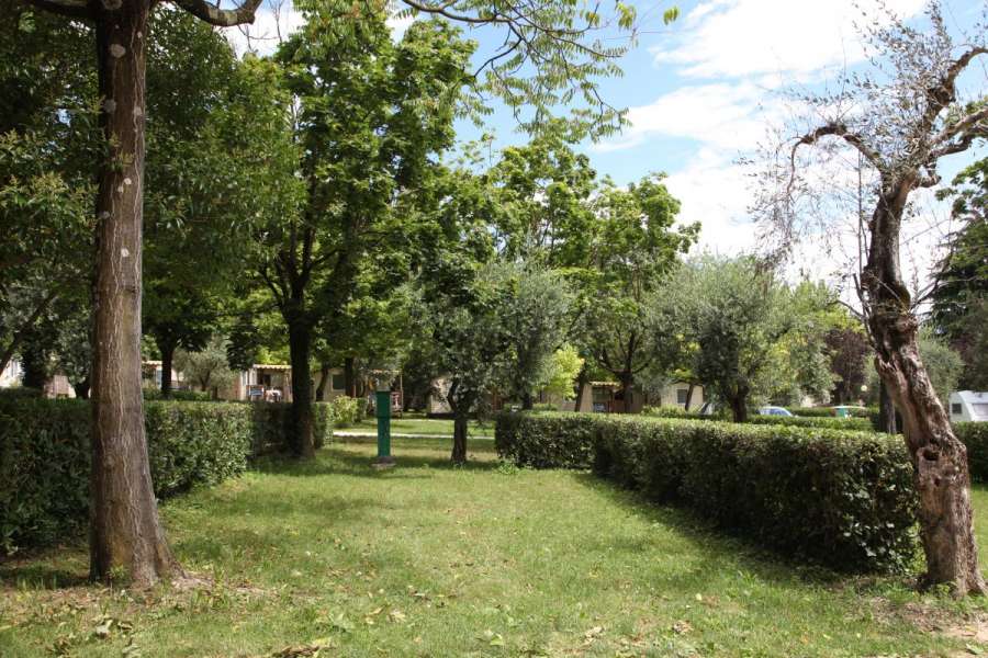 Campingplatz Gardasee mit Standardstellplätzen und 6 Ampere Strom 10