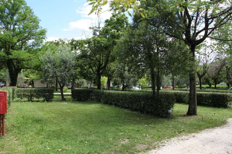 Campingplatz Gardasee mit Standardstellplätzen und 6 Ampere Strom 14