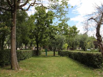 Campingplatz Gardasee mit Standardstellplätzen und 6 Ampere Strom 4