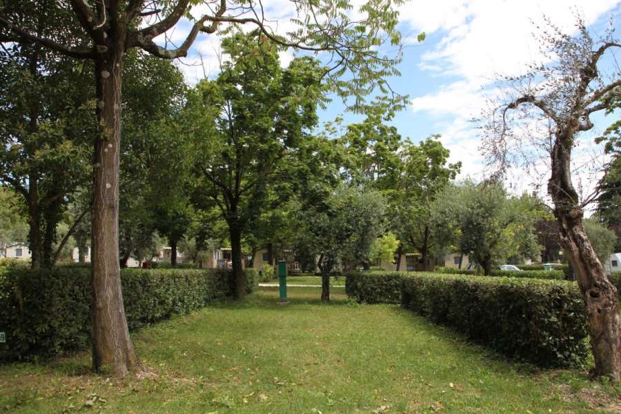 Campingplatz Gardasee mit Standardstellplätzen und 6 Ampere Strom 4