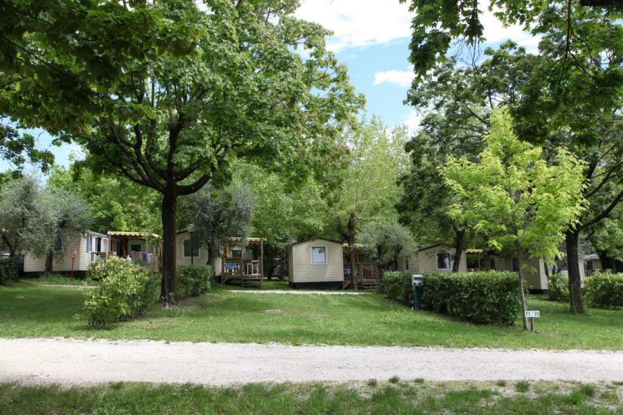 Campingplatz Gardasee mit großen Stellplätzen und 10 Ampere Strom 6