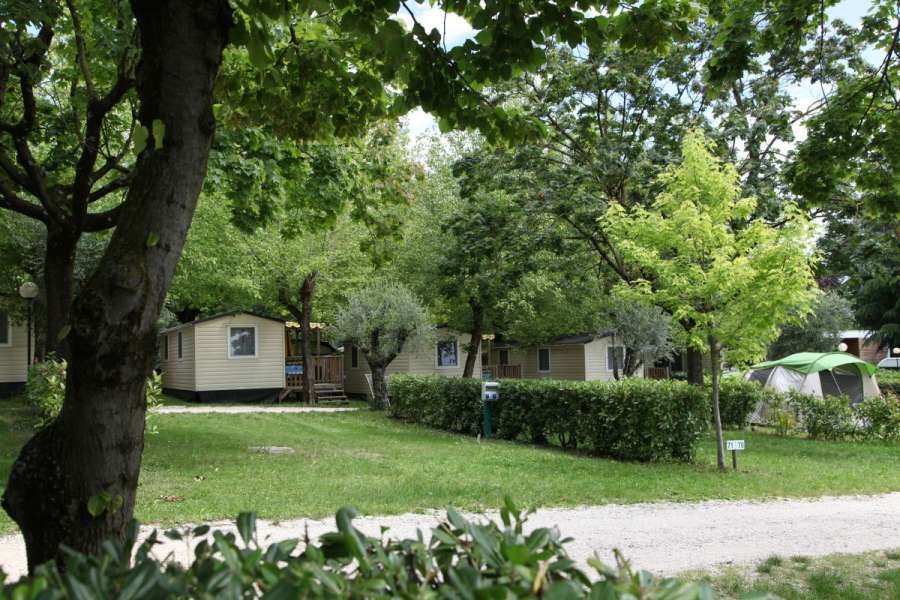 Campingplatz Gardasee mit großen Stellplätzen und 10 Ampere Strom 4
