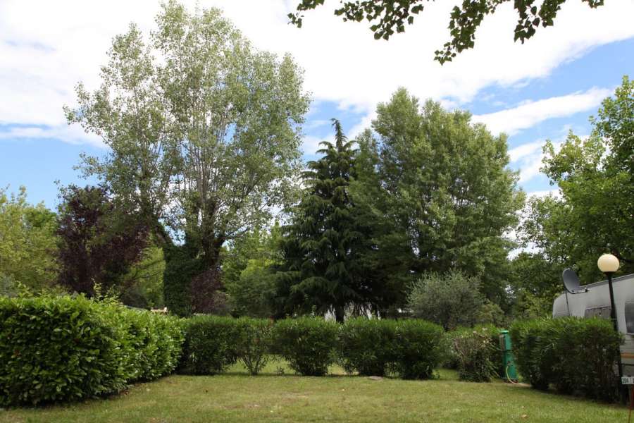 Campingplatz Gardasee mit Standardstellplätzen und 6 Ampere Strom 5