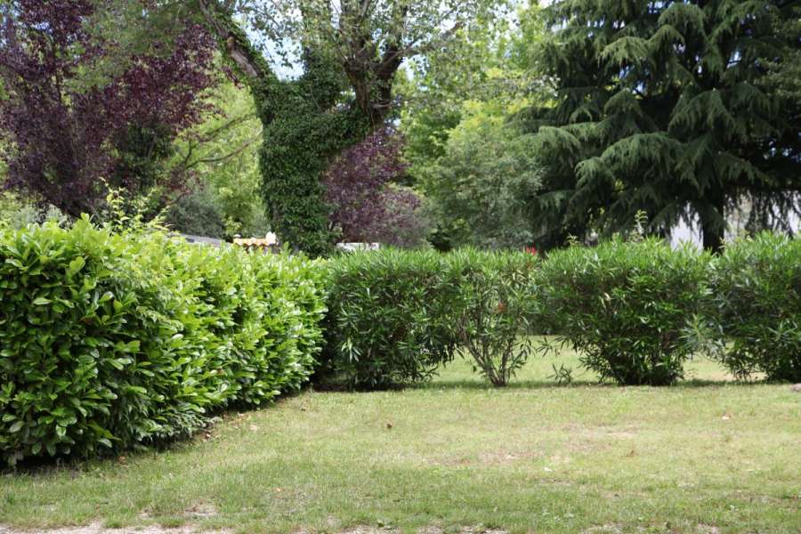 Campingplatz Gardasee mit Standardstellplätzen und 6 Ampere Strom 13