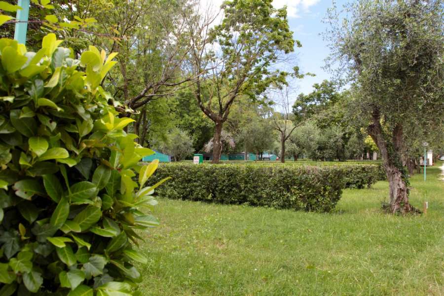 Campingplatz Gardasee mit Standardstellplätzen und 6 Ampere Strom 16