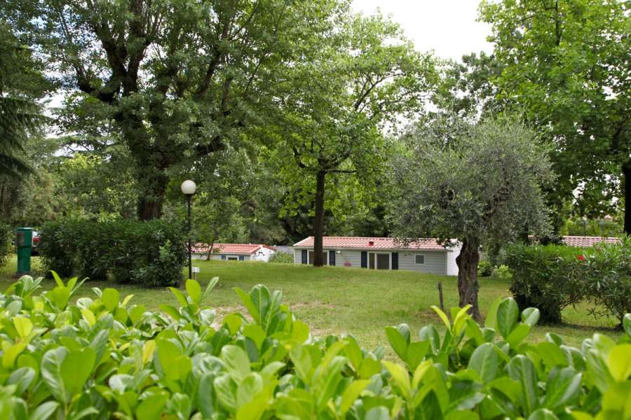Campingplatz Gardasee mit Standardstellplätzen und 6 Ampere Strom 18