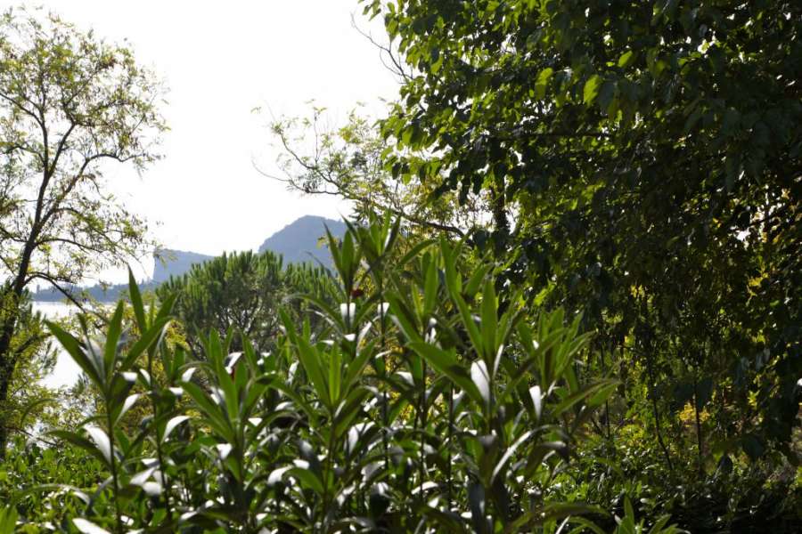 Campingplatz Gardasee mit Apartment mit Privatgarten 10