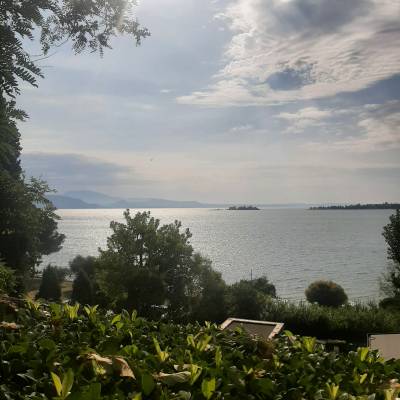 A beautiful view in the morning as you walk to the lake for a refreshing dip.