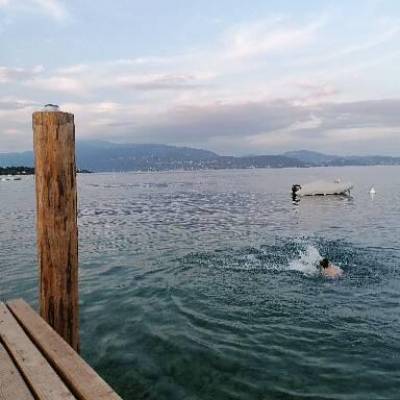 Avonfzwemmetje in het meer! 