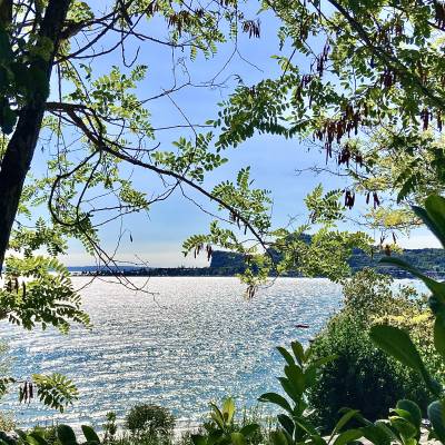 Der schönste Blick auf den See 