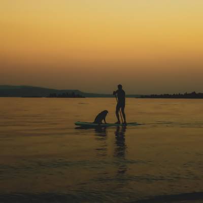 Man and dog supping on lake Garda at sunset