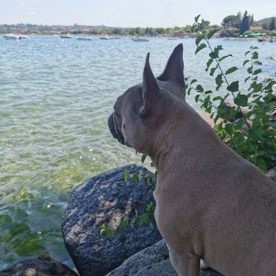 Watching the sunrise