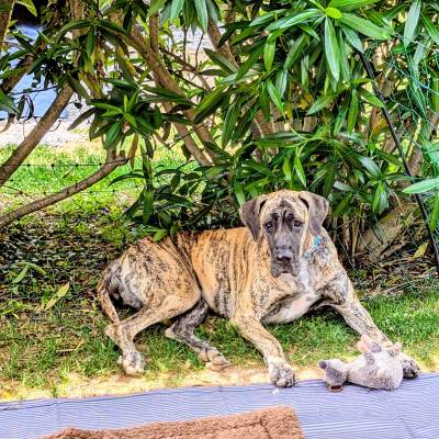 Stellplatz Nummer 12 ❤️